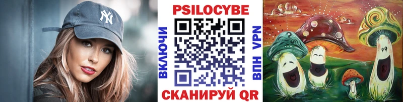 kraken ссылки  наркотики  Княгинино  Псилоцибиновые грибы мицелий 